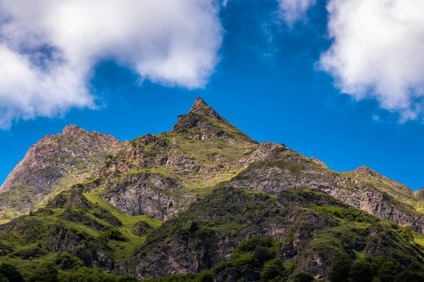 Transfert privé de cannes à l'aéroport de nice : confort et ponctualité