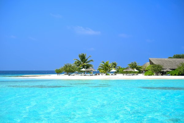 Comment observer les oiseaux tropicaux en Costa Rica sans guide?